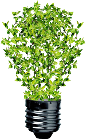 software company in calicut